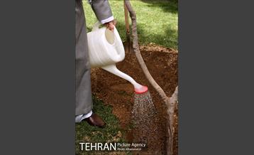 کاشت نهال توسط رهبر معظم انقلاب اسلامی 5