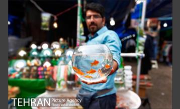 بازارچه نوروزی  7