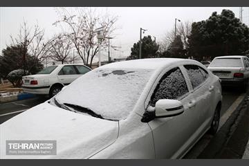 روز برفی در منطقه 22 18