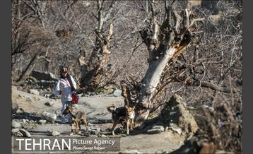 بازدید نمایندگان سازمان ملل از دره فرحزاد و محله اسلام آباد 16