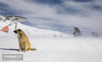 پیست اسکی توچال 45