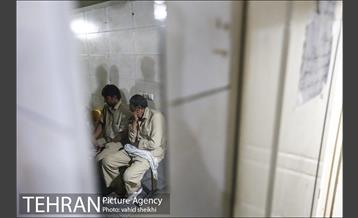 شبگردی اصحاب رسانه در منطقه 4 شهرداری تهران 21