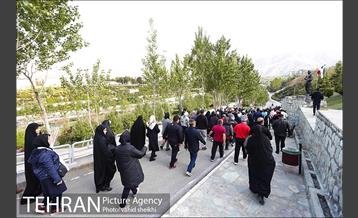 پیاده روی بزرگ خانوادگی به مناسبت هفته سلامت 11