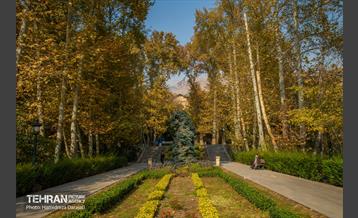 آخرین روزهای پاییزی  25