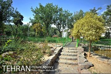 بوستان هفت چنار 12