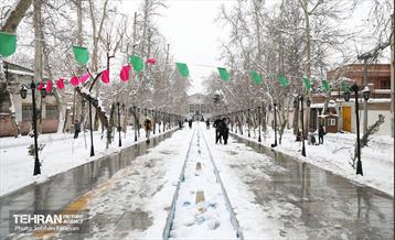 عصر زمستانی تهران 14