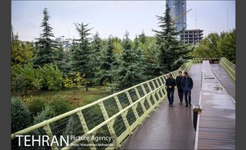 بارش باران پاییزی در تهران 3