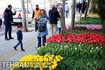 پیاده راه لاله مادران 24