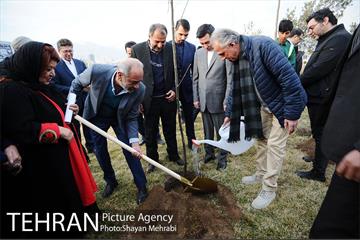 کاشت شش نهال درخت زیتون با حضور کارگرداران سینمای ایران 9