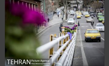 استقبال از بهار در خیابانهای تهران 14