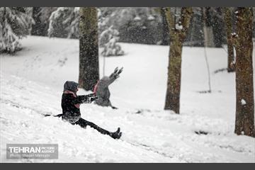 بارش برف در تهران 29