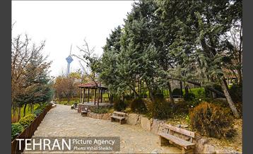 باغ راه فدک 17