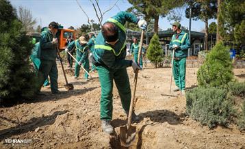 روز درختکاری با حضور مادران شهدا 1