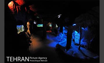 موزه حیات وحش هفت چنار 49