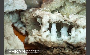 موزه علوم زمین 24