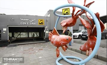 استقبال از بهار - 5 54