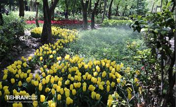 بازدید اصحاب رسانه از باغ ایرانی 1