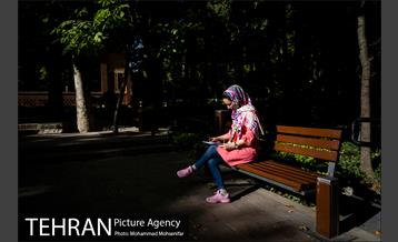 شهرنگار؛ باغ ایرانی 14