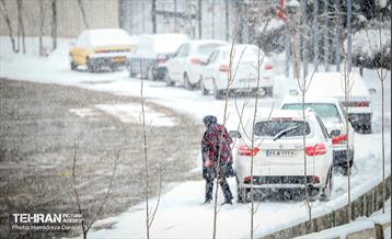 بارش برف زمستانی در شمیران  11