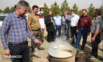 بوستان نرجس خاتون (س) و بوستان هاى منطقه ١٥ در روز طبیعت 11
