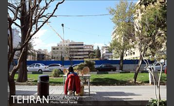 بازدید مسجدجامعی و الویری از نوروزگاه بلوار کشاورز 12