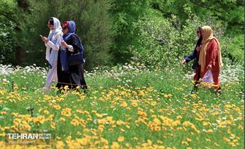 طبیعت بهاری در باغ ملی گیاهشناسی ایران 15