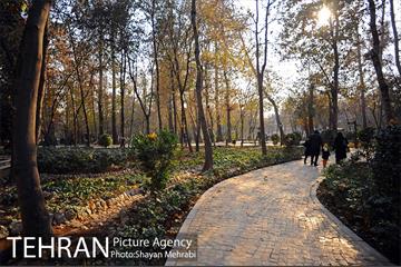 پاییز باغ ایرانی 4