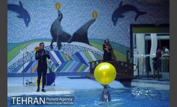 دلفیناریوم برج میلاد 23