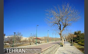 بوستان پلیس 34