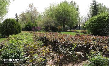 بوستان بانوان نرگس 43
