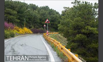 طبیعت بهاری پارک جنگلی لویزان‎  14