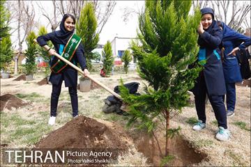 مراسم کاشت نهال در هفته منابع طبیعی (درخت فرهنگ و هنر) 29