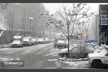 بارش برف زمستانی در تهران 41