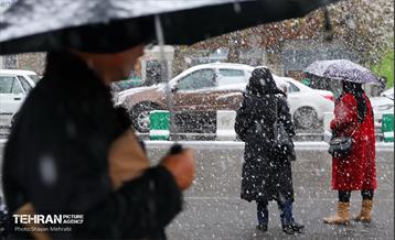 بارش نخستین برف زمستانی در تهران 1