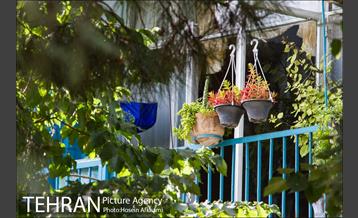 پنجره های شهر تهران 5