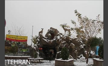 تهران سفید پوش شد 13