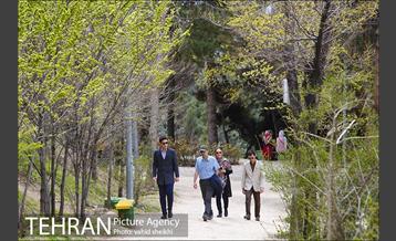 بوستان طالقانی 6