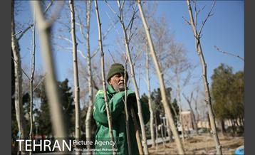 غرس نهال در بوستان بهاران 16