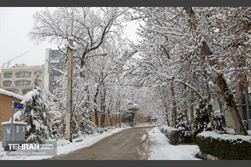 روز برفی پایتخت 54