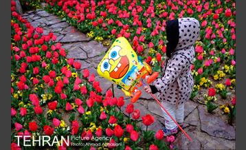 جشنواره لاله‌ها در بوستان زندگی محله هرندی 18