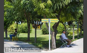 بوستان المهدی 20