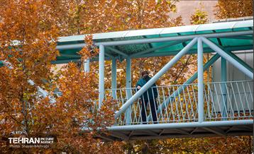 سمفونی رنگ های پاییزی  36