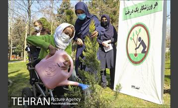 مراسم روز درختکاری در منطقه 7