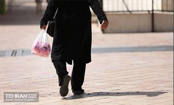 نوزدهمین جشنواره گل و گلاب تهران  8