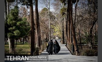 پارک شهر بعد از یک صبح بارانی 19