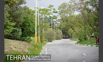 پارک جنگلی لویزان‎ 9