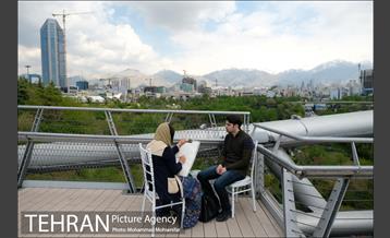 اولین جشنواره شهروند نقاش 8