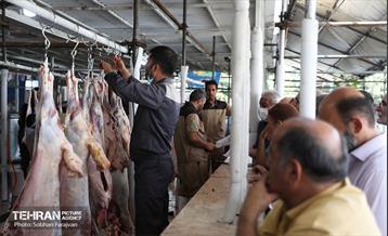 مرکز عرضه دام بهداشتی به مناسبت عید قربان 6