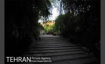 بوستان نهج البلاغه (فاز١) 21