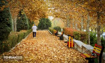 گذرگاه های پاییزی پایتخت - منطقه 5